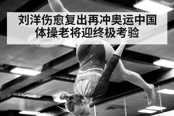 刘洋伤愈复出再冲奥运中国体操老将迎终极考验